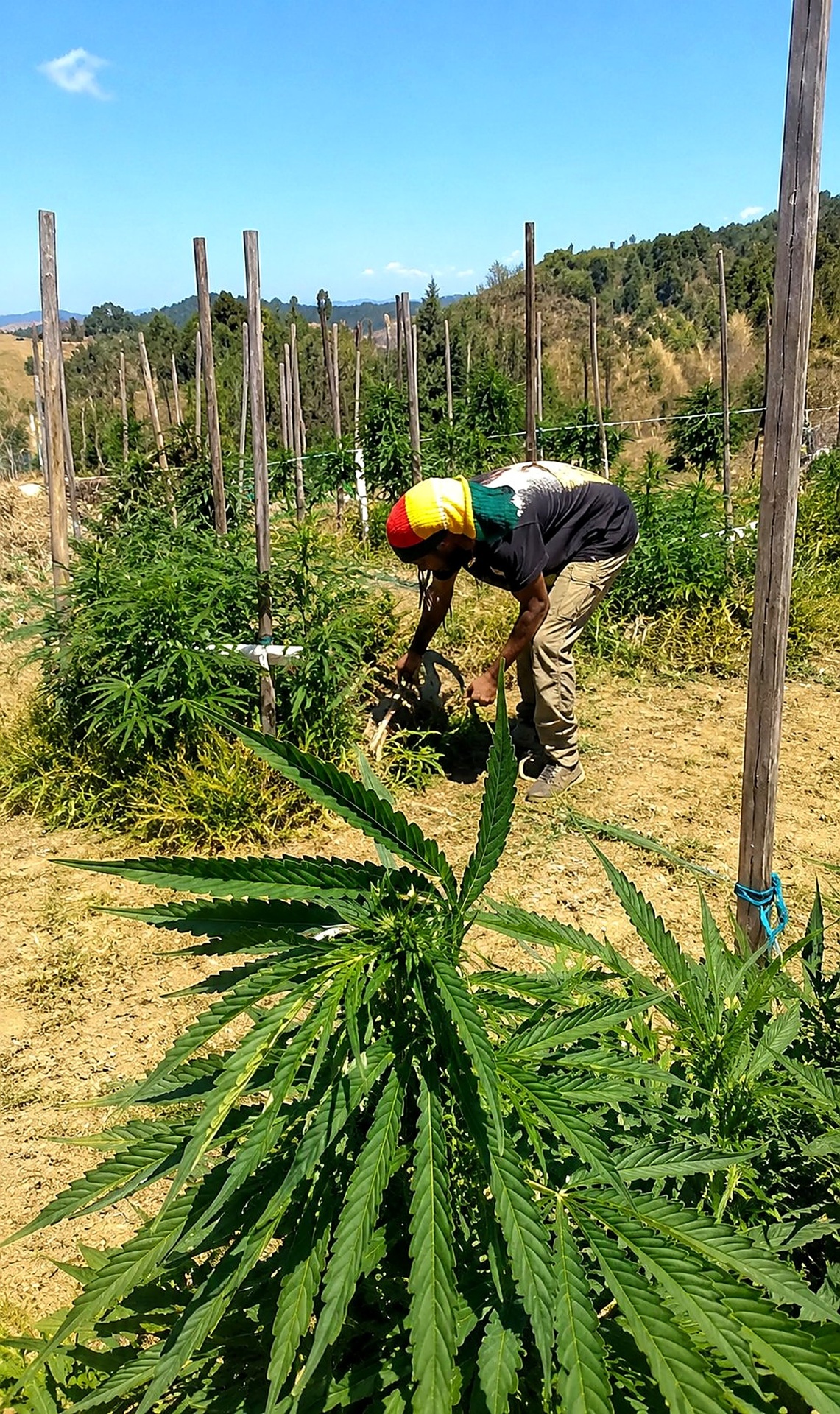 Gareth Prince at a cultivation site supporting farmer advocacy